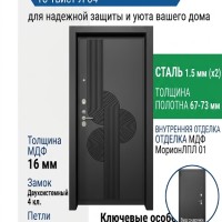 Входная металлическая дверь ДС 2  16 Твист Л 04