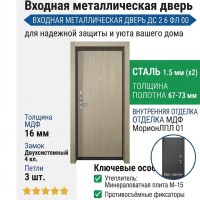 Входная металлическая дверь ДС 2  6 ФЛ 00