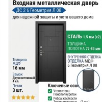 Входная металлическая дверь ДС 2  6 Геометрия Л 08