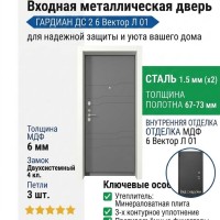 Входная металлическая дверь ДС 2  6 Вектор Л 01