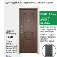 Входная металлическая дверь ДС 2  16 ФШ 58