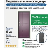 Входная металлическая дверь ДС 2  6 Модуль К 01